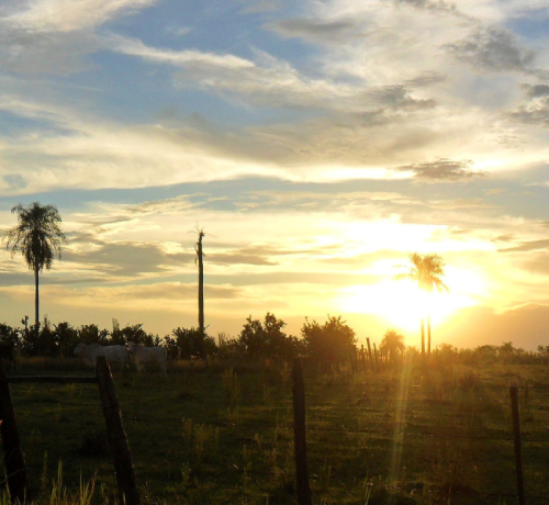 Grundstück kaufen Paraguay